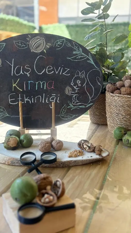 Yaş ceviz kırma etkinliği için hazırlanmış doğa masası: ceviz, büyüteç ve tebeşir tahtası